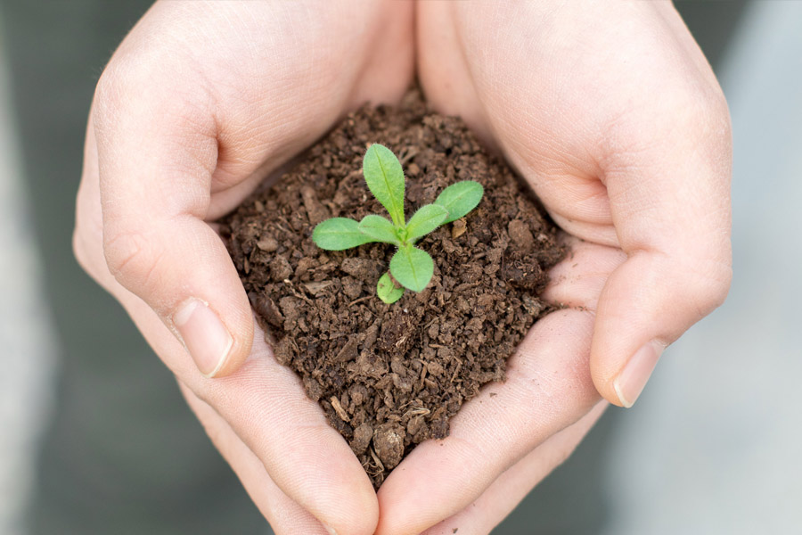 20230220085954_10220