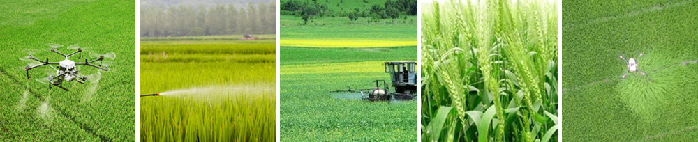 350vip浦京集团(集团)有限公司官网