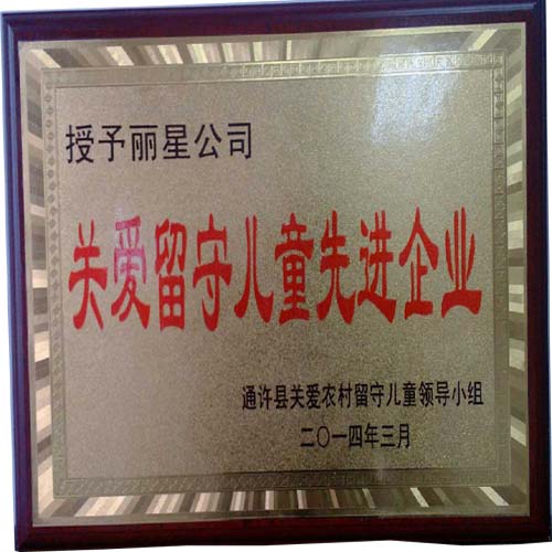 PP电子游戏公司留守儿童关爱先进企业