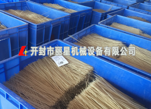 自动化红薯粉条机视频PP电子游戏亿源加工现场全程
