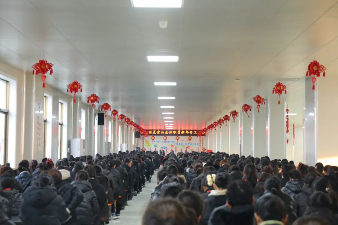 玉兔迎新春，奋进新征程