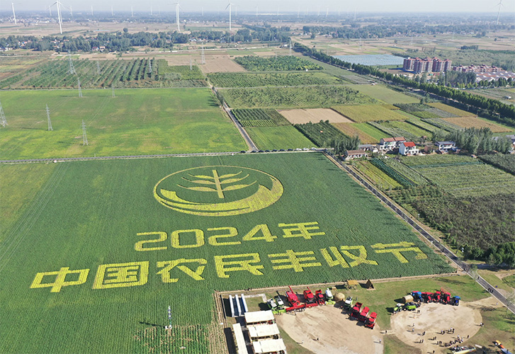 1727059765373512 中国农夫丰登节.jpg