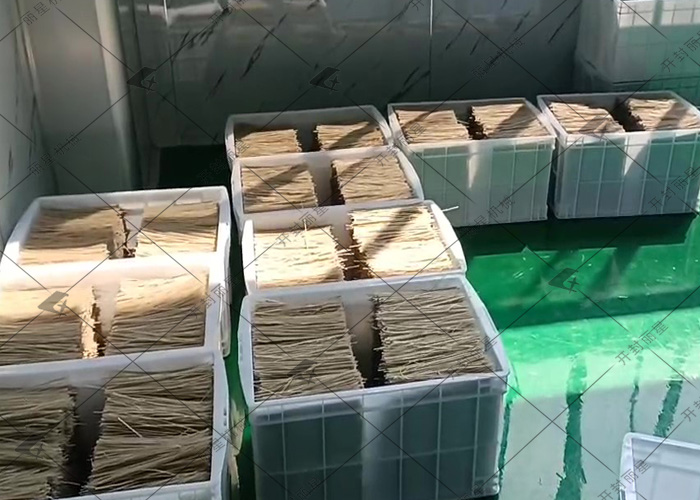 1740621078380401 粉条机.jpg