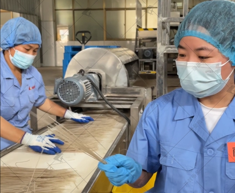 自动化粉条出产线工艺亮点与特点你知路哪些？